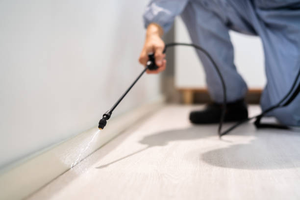 Professional exterminator conducting IPM assessment in Eufaula